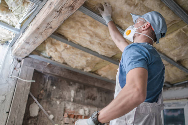 Best Specialty Insulation in Farmerville, LA